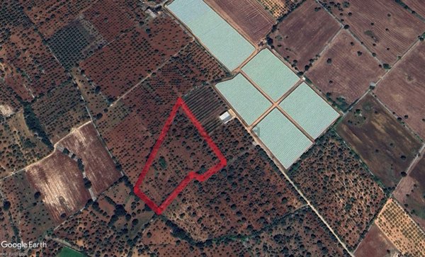 terreno agricolo in vendita a Polignano a Mare in zona Triggianello