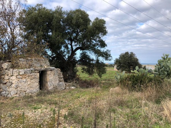 terreno agricolo in vendita a Polignano a Mare