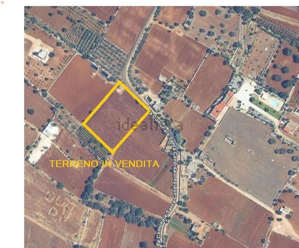 terreno agricolo in vendita a Polignano a Mare