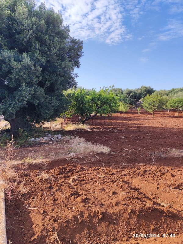 casa semindipendente in vendita a Polignano a Mare