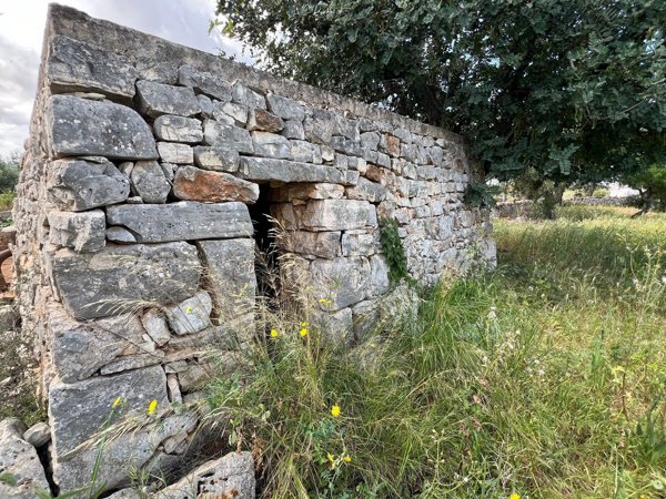 terreno agricolo in vendita a Polignano a Mare