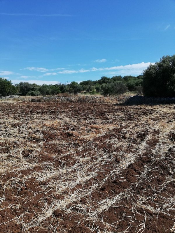 terreno agricolo in vendita a Polignano a Mare
