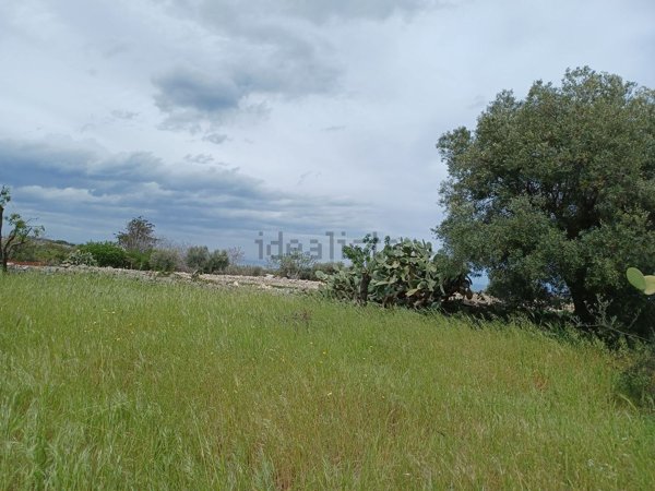 terreno agricolo in vendita a Polignano a Mare