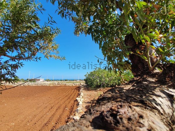 appartamento in vendita a Polignano a Mare