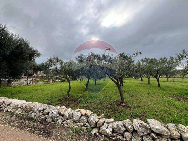 terreno agricolo in vendita a Polignano a Mare