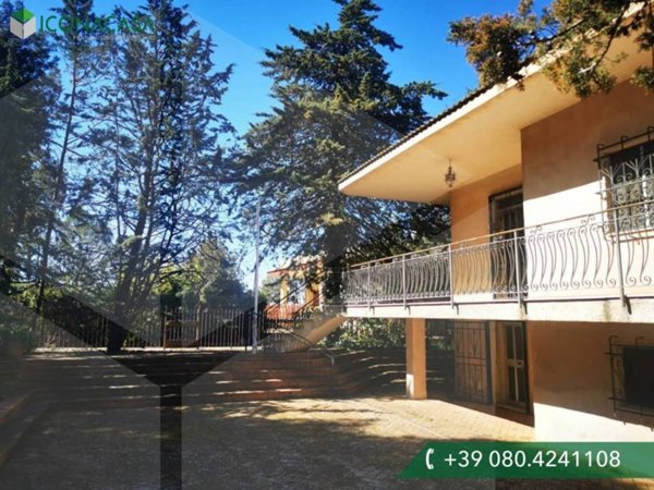 casa indipendente in vendita a Polignano a Mare