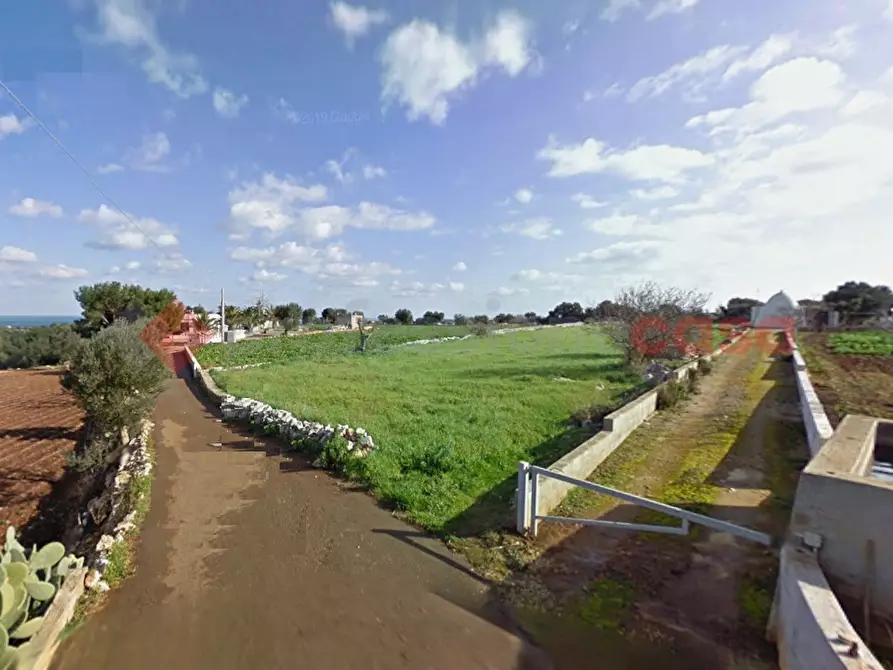 terreno agricolo in vendita a Polignano a Mare