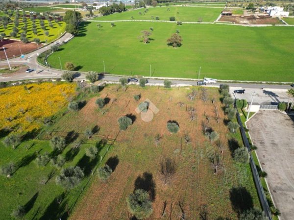 terreno agricolo in vendita a Polignano a Mare in zona Triggianello