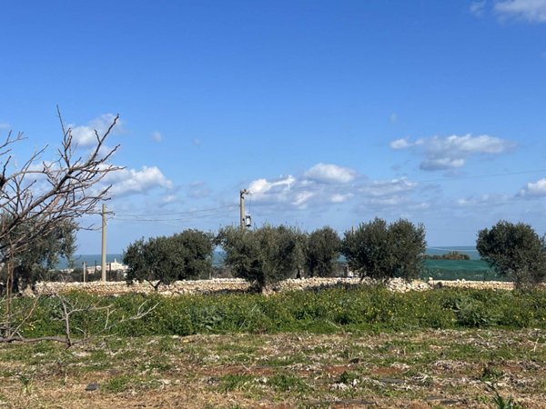 casa indipendente in vendita a Polignano a Mare