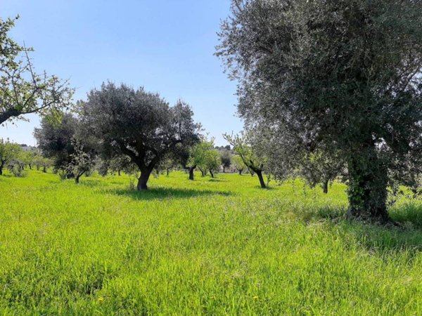casa indipendente in vendita a Polignano a Mare