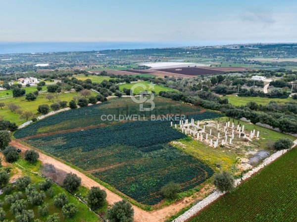 terreno agricolo in vendita a Polignano a Mare