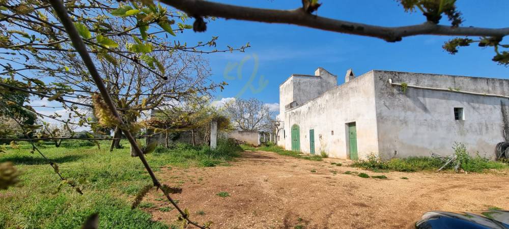 casa indipendente in vendita a Polignano a Mare