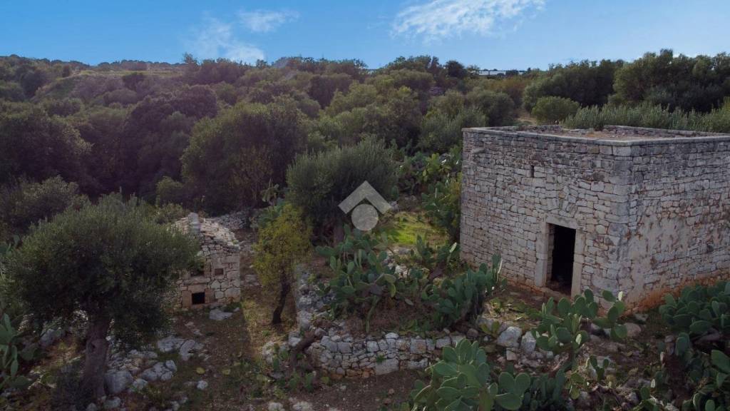 terreno agricolo in vendita a Polignano a Mare