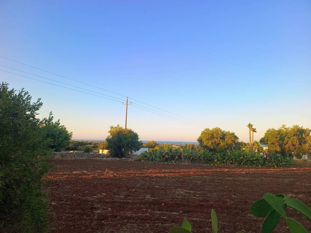 terreno agricolo in vendita a Polignano a Mare