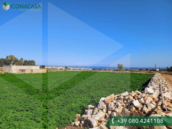 terreno agricolo in vendita a Polignano a Mare