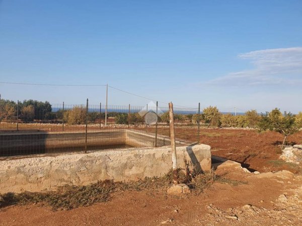 terreno agricolo in vendita a Polignano a Mare