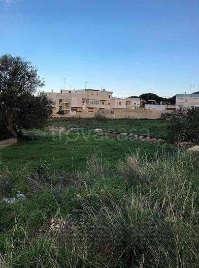 terreno agricolo in vendita a Polignano a Mare