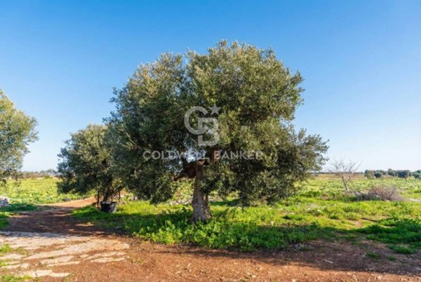 terreno agricolo in vendita a Polignano a Mare