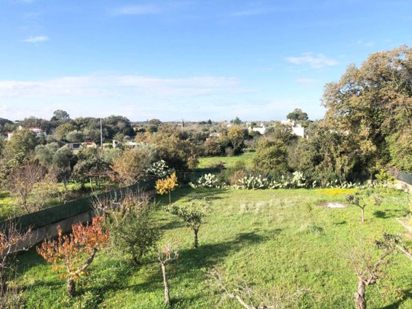 casa indipendente in vendita a Polignano a Mare