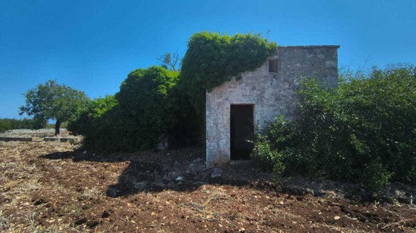 terreno agricolo in vendita a Polignano a Mare