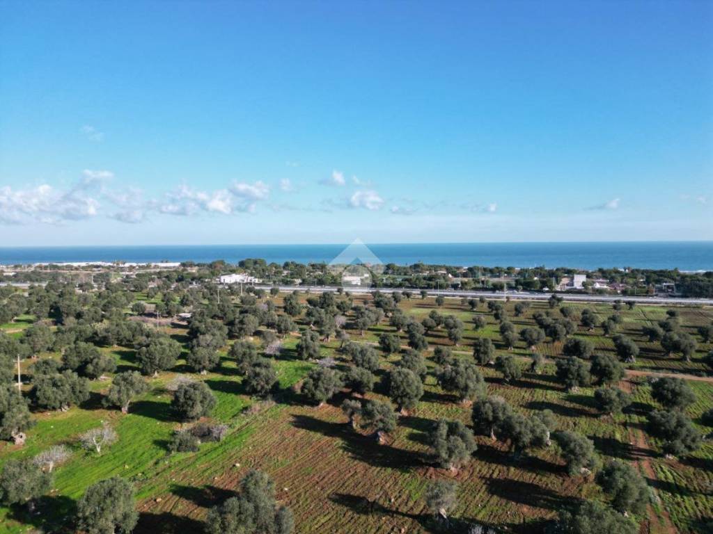 terreno agricolo in vendita a Polignano a Mare