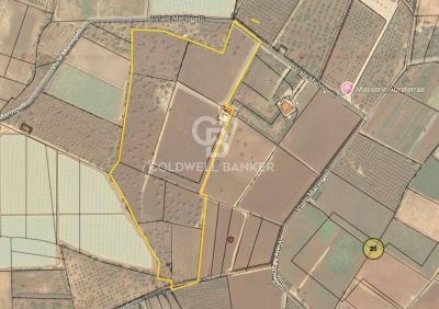 terreno agricolo in vendita a Polignano a Mare