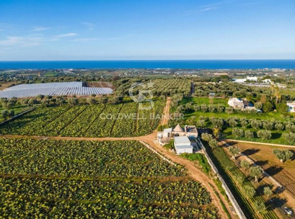 terreno agricolo in vendita a Polignano a Mare
