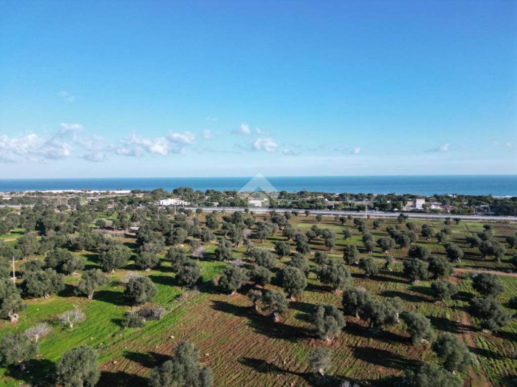 terreno agricolo in vendita a Polignano a Mare