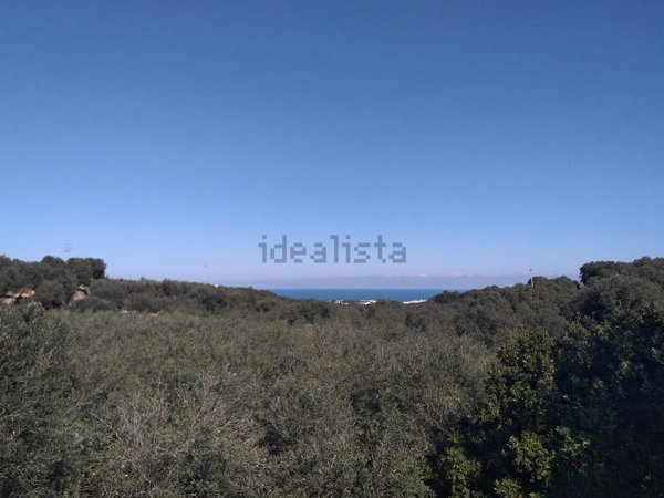 casa indipendente in vendita a Polignano a Mare