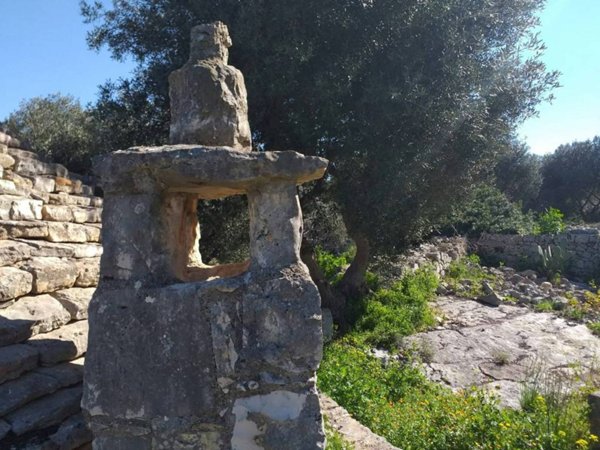 terreno agricolo in vendita a Polignano a Mare