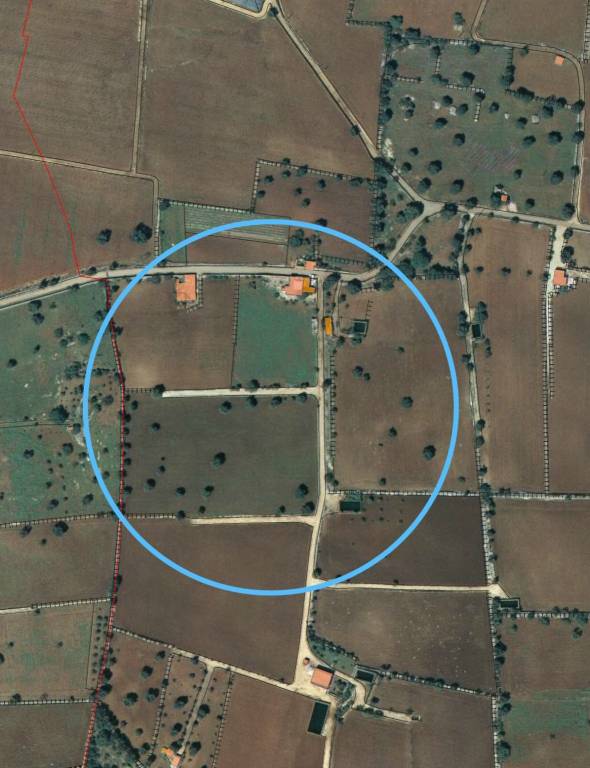 terreno agricolo in vendita a Polignano a Mare