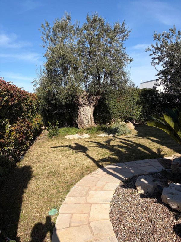 casa indipendente in vendita a Polignano a Mare