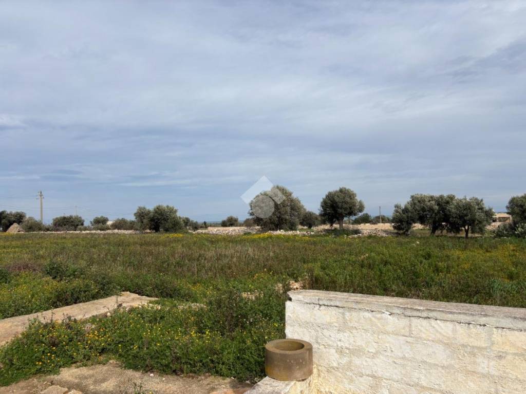 terreno agricolo in vendita a Polignano a Mare