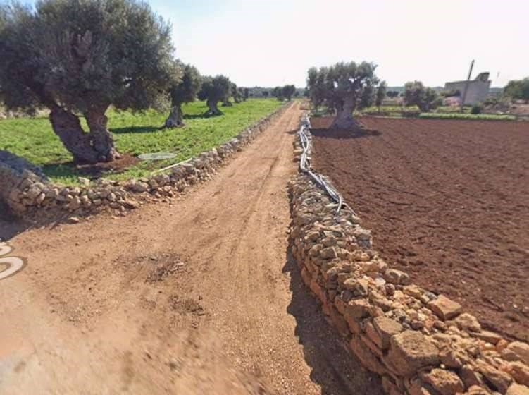 terreno agricolo in vendita a Polignano a Mare