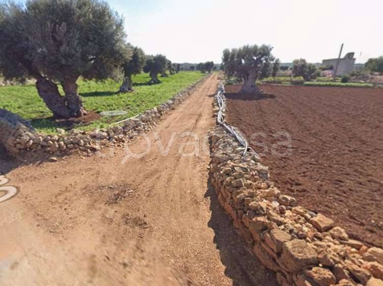 terreno agricolo in vendita a Polignano a Mare