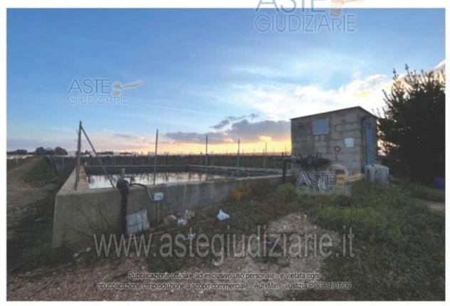 terreno agricolo in vendita a Polignano a Mare
