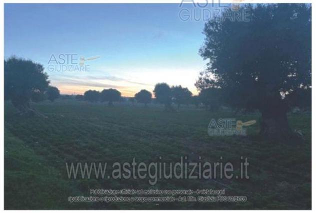 terreno agricolo in vendita a Polignano a Mare