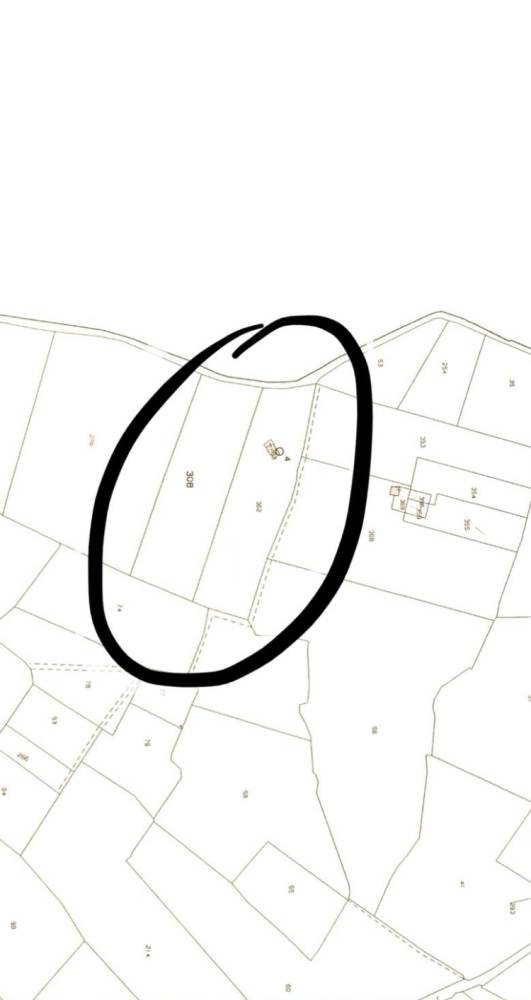 casa indipendente in vendita a Polignano a Mare