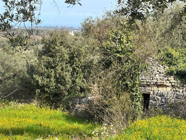 casa indipendente in vendita a Polignano a Mare
