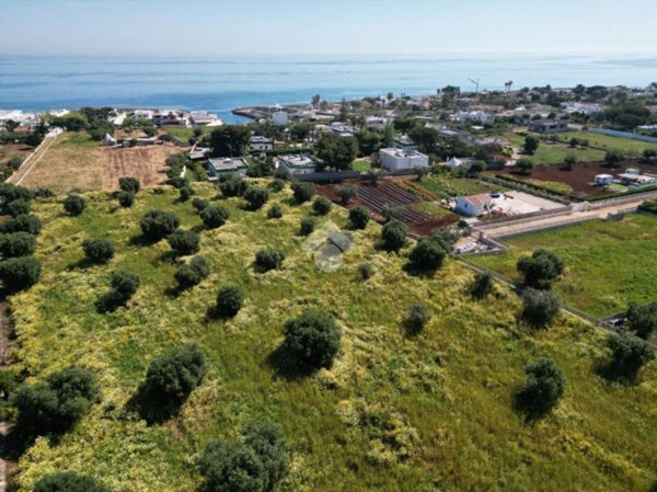 terreno agricolo in vendita a Polignano a Mare