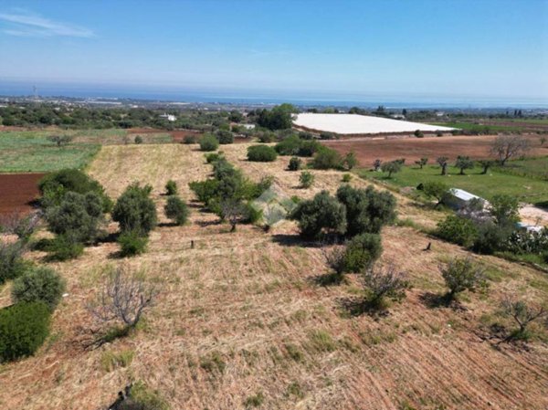 terreno agricolo in vendita a Polignano a Mare