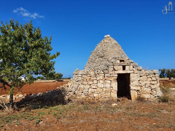 casa indipendente in vendita a Polignano a Mare