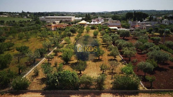 terreno agricolo in vendita a Polignano a Mare in zona Triggianello