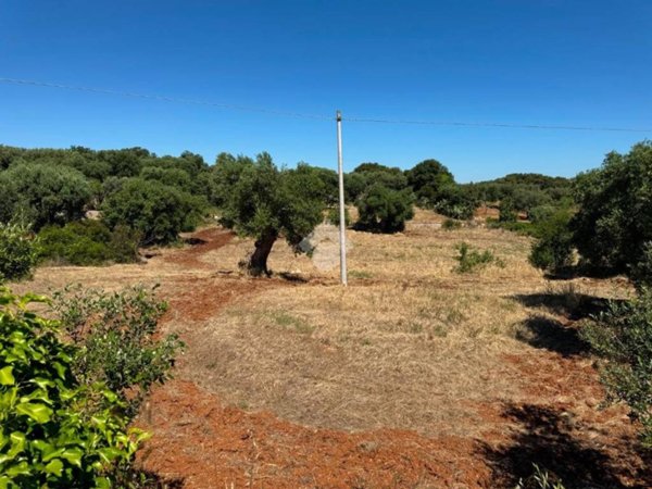 terreno agricolo in vendita a Polignano a Mare