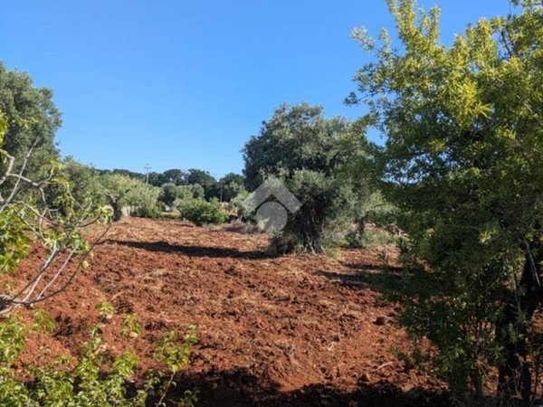 terreno agricolo in vendita a Polignano a Mare