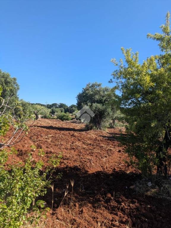 terreno agricolo in vendita a Polignano a Mare in zona Cavuzzi