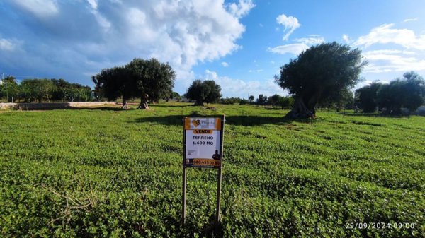 terreno agricolo in vendita a Polignano a Mare