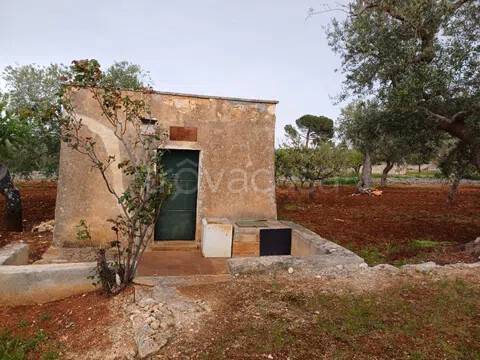 casa indipendente in vendita a Polignano a Mare