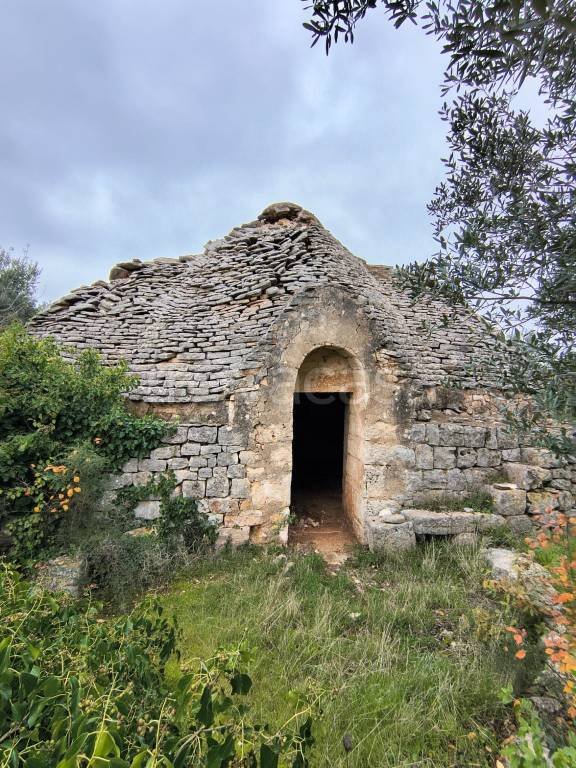 terreno agricolo in vendita a Polignano a Mare