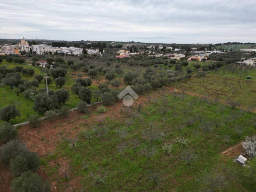 terreno agricolo in vendita a Polignano a Mare in zona Triggianello